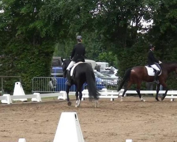 Reitturnier Willich-Anrath-Neersen 2015