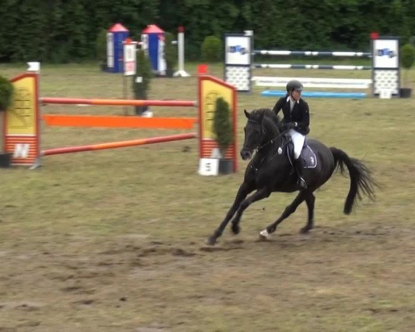 Reitturnier Willich-Anrath-Neersen 2015