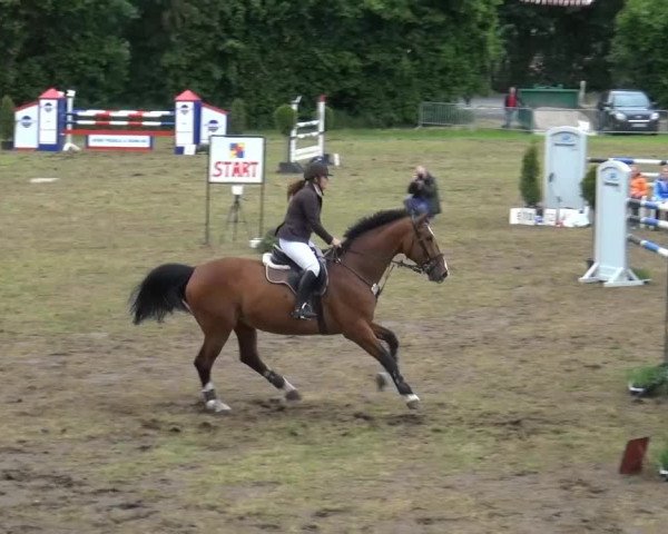 Reitturnier Willich-Anrath-Neersen 2015