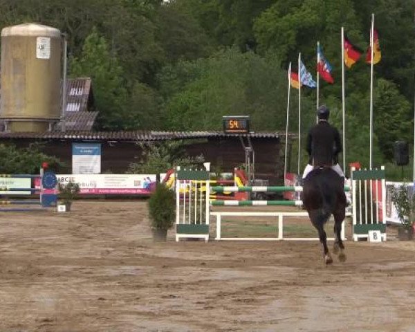 Reitturnier Bissendorf - Gut Stockum 2015