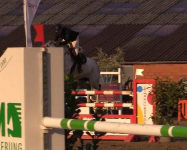 Reitturnier Bissendorf - Gut Stockum 2015
