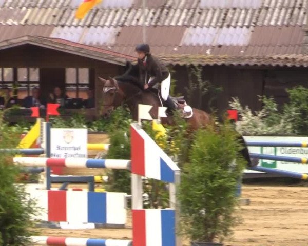 Reitturnier Bissendorf - Gut Stockum 2015