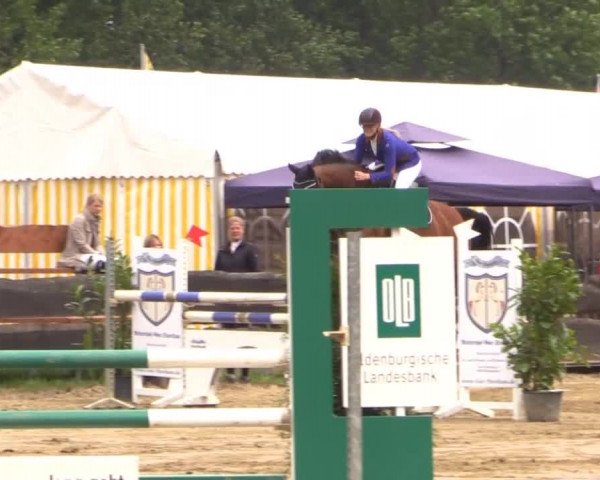 Reitturnier Bissendorf - Gut Stockum 2015