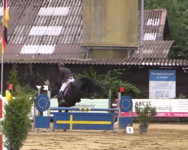 Reitturnier Bissendorf - Gut Stockum 2015