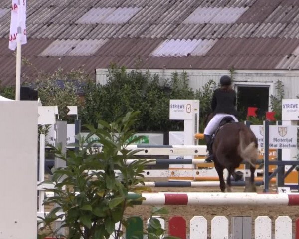 Reitturnier Bissendorf - Gut Stockum 2015