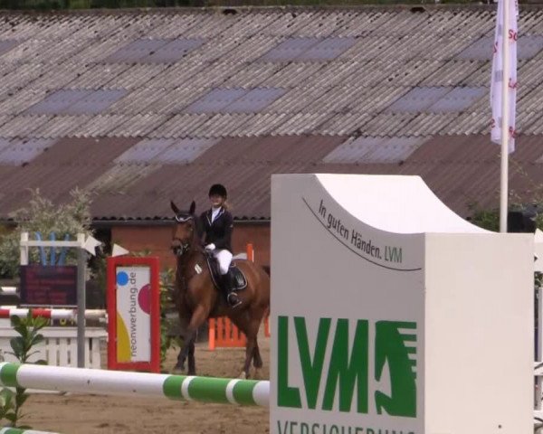 Reitturnier Bissendorf - Gut Stockum 2015