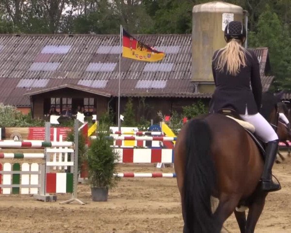 Reitturnier Bissendorf - Gut Stockum 2015