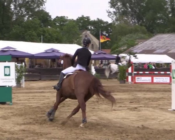 Reitturnier Bissendorf - Gut Stockum 2015