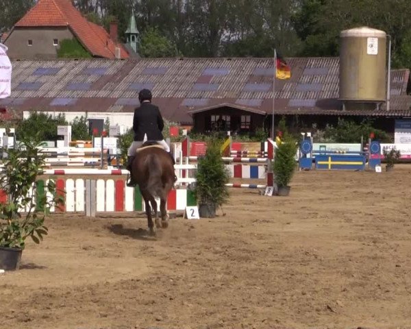 Reitturnier Bissendorf - Gut Stockum 2015