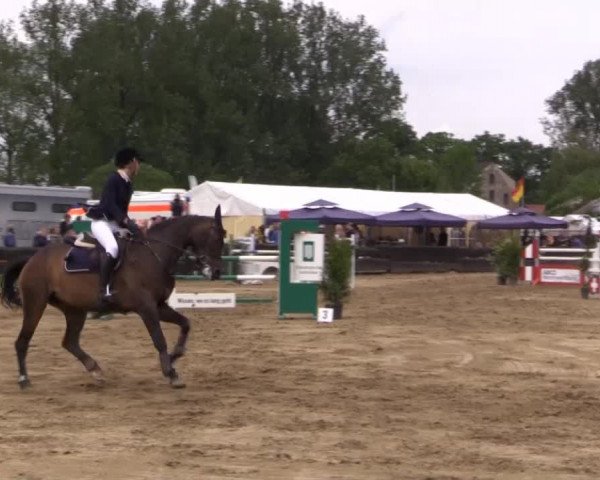 Reitturnier Bissendorf - Gut Stockum 2015