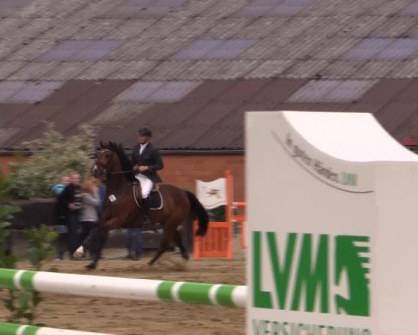 Reitturnier Bissendorf - Gut Stockum 2015