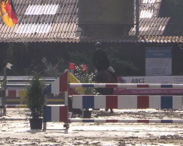 Reitturnier Bissendorf - Gut Stockum 2015