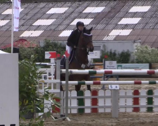 Reitturnier Bissendorf - Gut Stockum 2015
