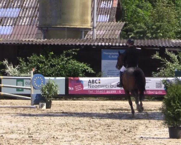 Reitturnier Bissendorf - Gut Stockum 2015