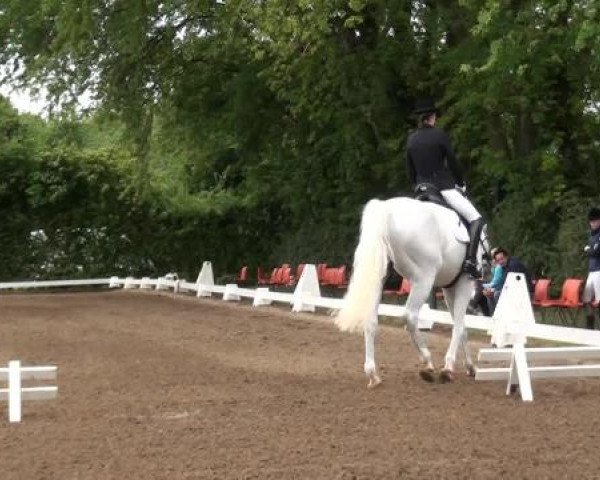 Reitturnier Willich-Anrath-Neersen 2015