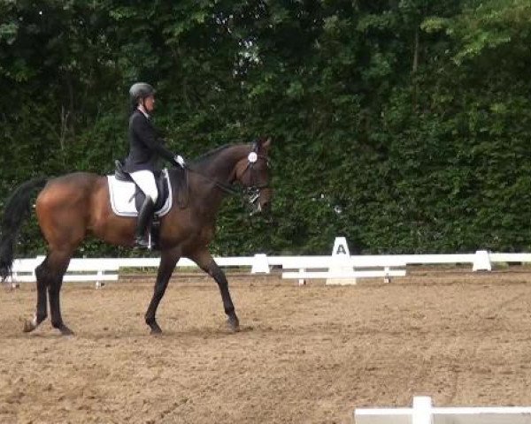 Reitturnier Willich-Anrath-Neersen 2015