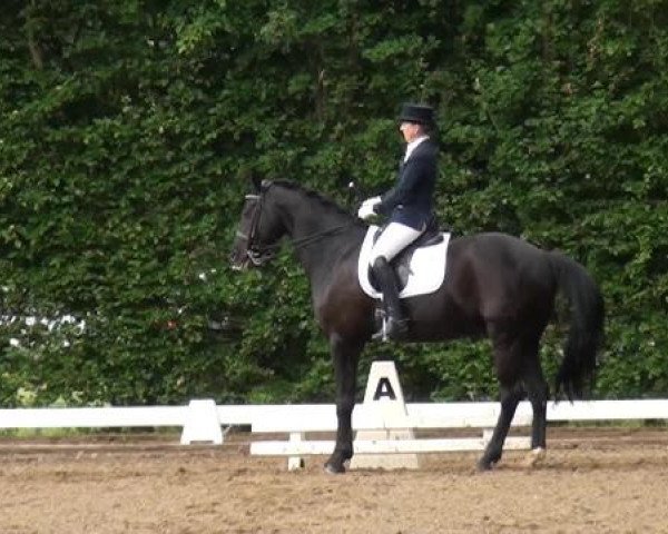 Reitturnier Willich-Anrath-Neersen 2015