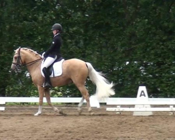 Reitturnier Willich-Anrath-Neersen 2015