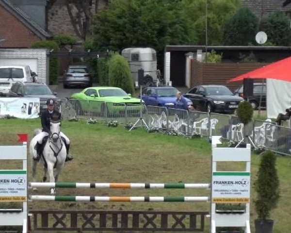 Reitturnier Willich-Anrath-Neersen 2015