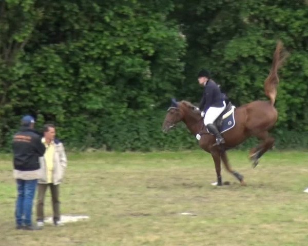 Reitturnier Willich-Anrath-Neersen 2015