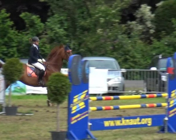 Reitturnier Willich-Anrath-Neersen 2015