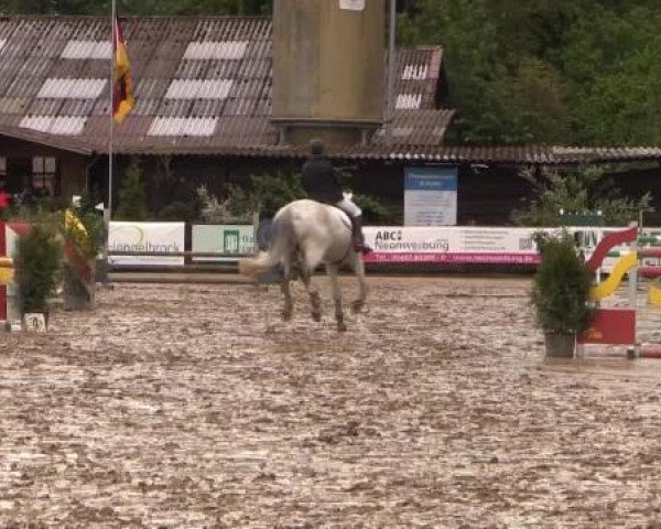 Reitturnier Bissendorf - Gut Stockum 2015