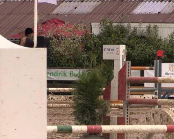 Reitturnier Bissendorf - Gut Stockum 2015