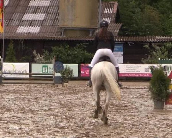Reitturnier Bissendorf - Gut Stockum 2015