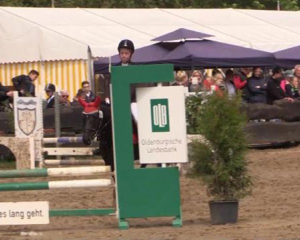 Reitturnier Bissendorf - Gut Stockum 2015