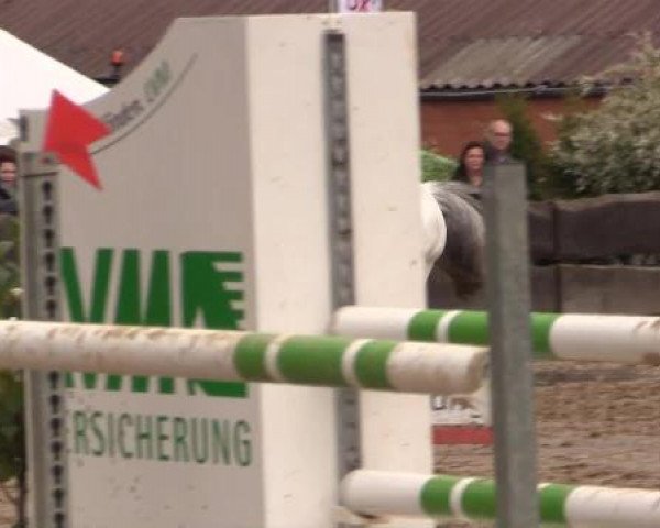 Reitturnier Bissendorf - Gut Stockum 2015