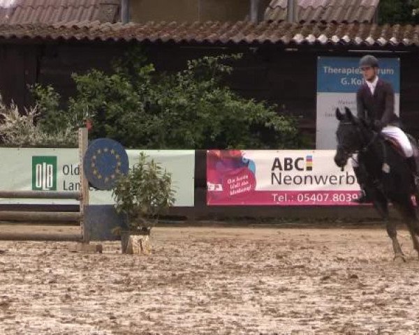 Reitturnier Bissendorf - Gut Stockum 2015