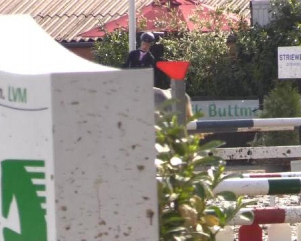 Reitturnier Bissendorf - Gut Stockum 2015