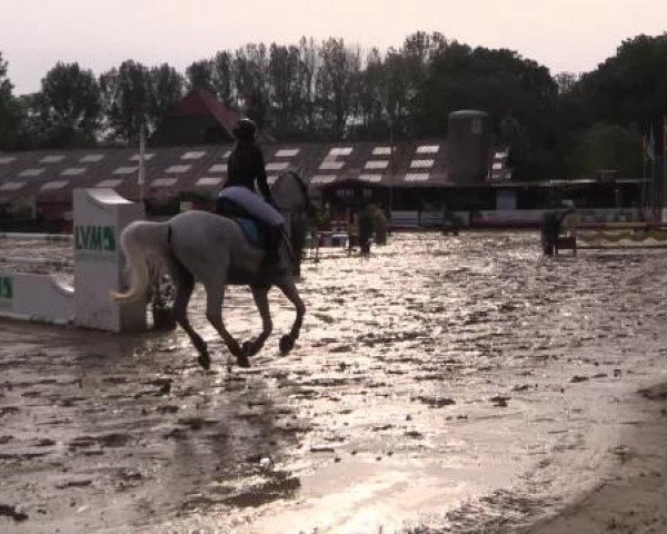 Reitturnier Bissendorf - Gut Stockum 2015
