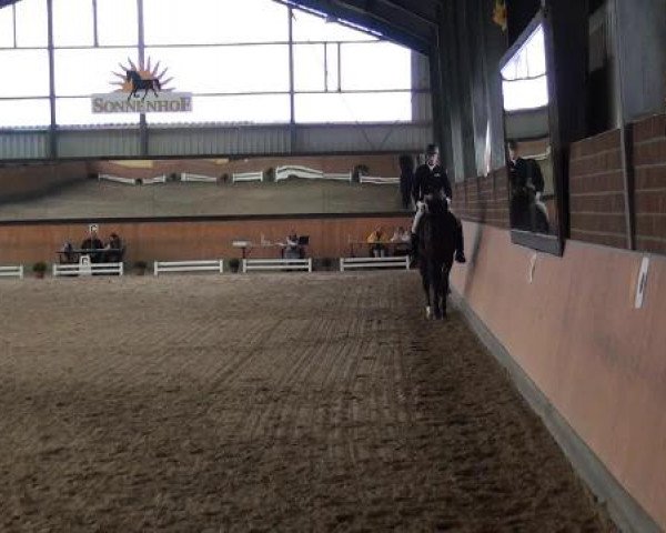 Frechen-Grefrath 2015