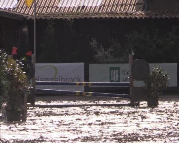 Reitturnier Bissendorf - Gut Stockum 2015