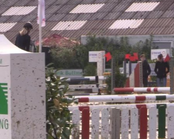 Reitturnier Bissendorf - Gut Stockum 2015