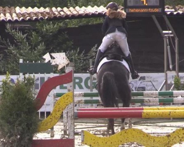 Reitturnier Bissendorf - Gut Stockum 2015