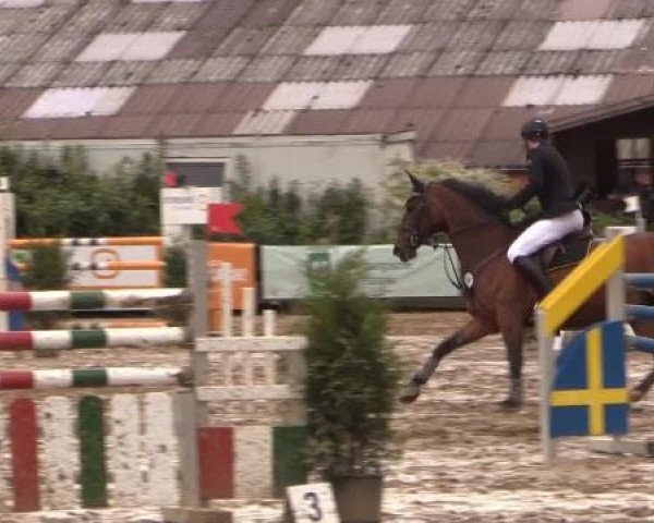 Reitturnier Bissendorf - Gut Stockum 2015