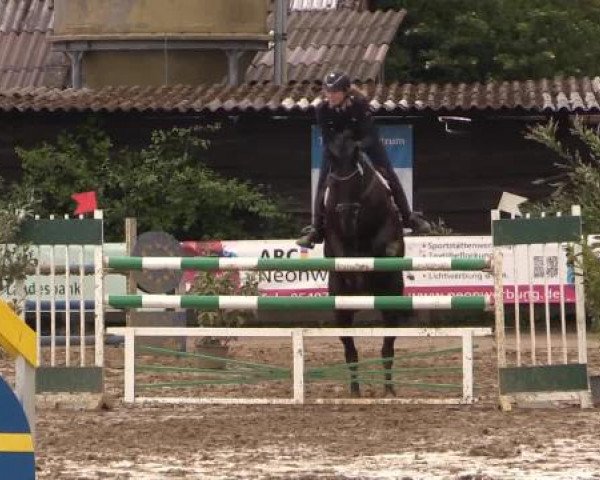 Reitturnier Bissendorf - Gut Stockum 2015