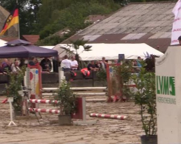 Reitturnier Bissendorf - Gut Stockum 2015