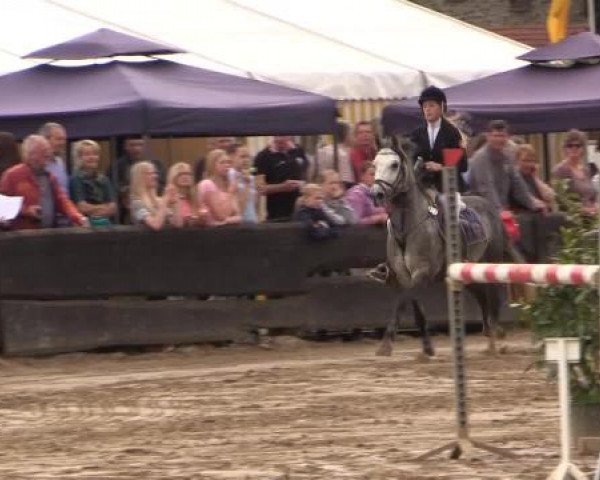 Reitturnier Bissendorf - Gut Stockum 2015