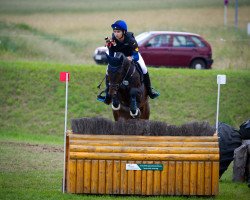 jumper Astrello (Hanoverian, 2009, from Asti's Amsterdam)