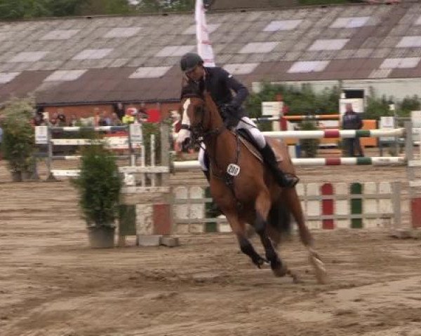 Reitturnier Bissendorf - Gut Stockum 2015