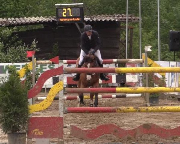 Reitturnier Bissendorf - Gut Stockum 2015