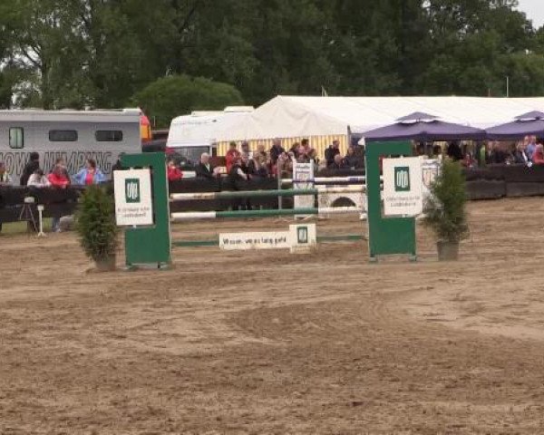 Reitturnier Bissendorf - Gut Stockum 2015