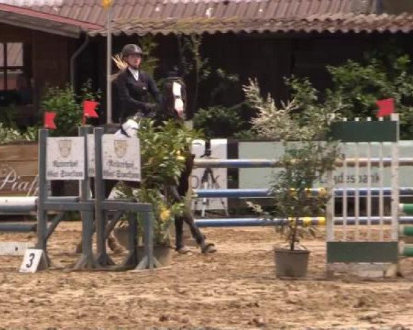 Reitturnier Bissendorf - Gut Stockum 2015