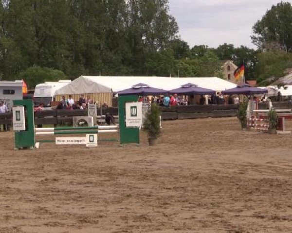 Reitturnier Bissendorf - Gut Stockum 2015