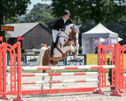 jumper Ping Pong van de Lentamel 2 (Belgian Warmblood, 2015, from Emerald van 't Ruytershof)