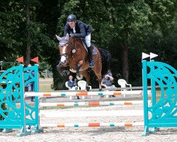 jumper Player van de Molenberg (Belgian Warmblood, 2015, from Tangelo van de Zuuthoeve)