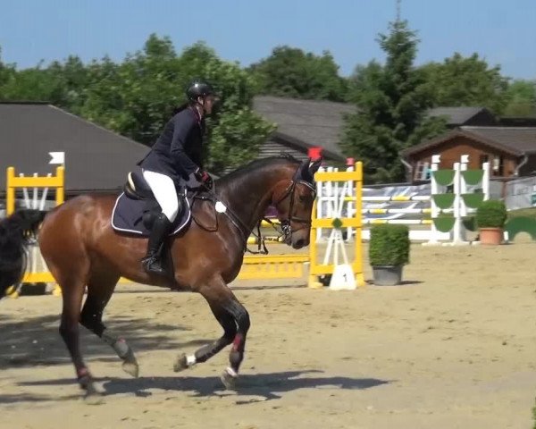 Sommerturnier Lohmar-Hausdorp 2015